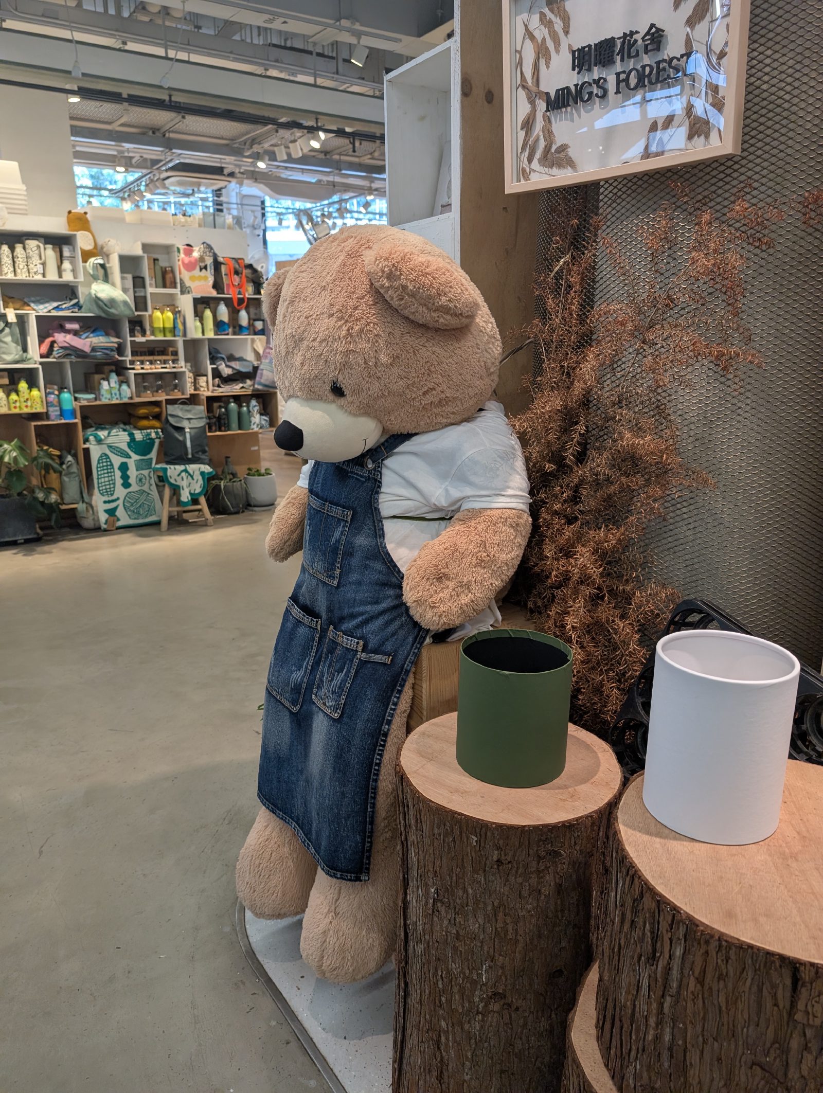 Big Teddy :)