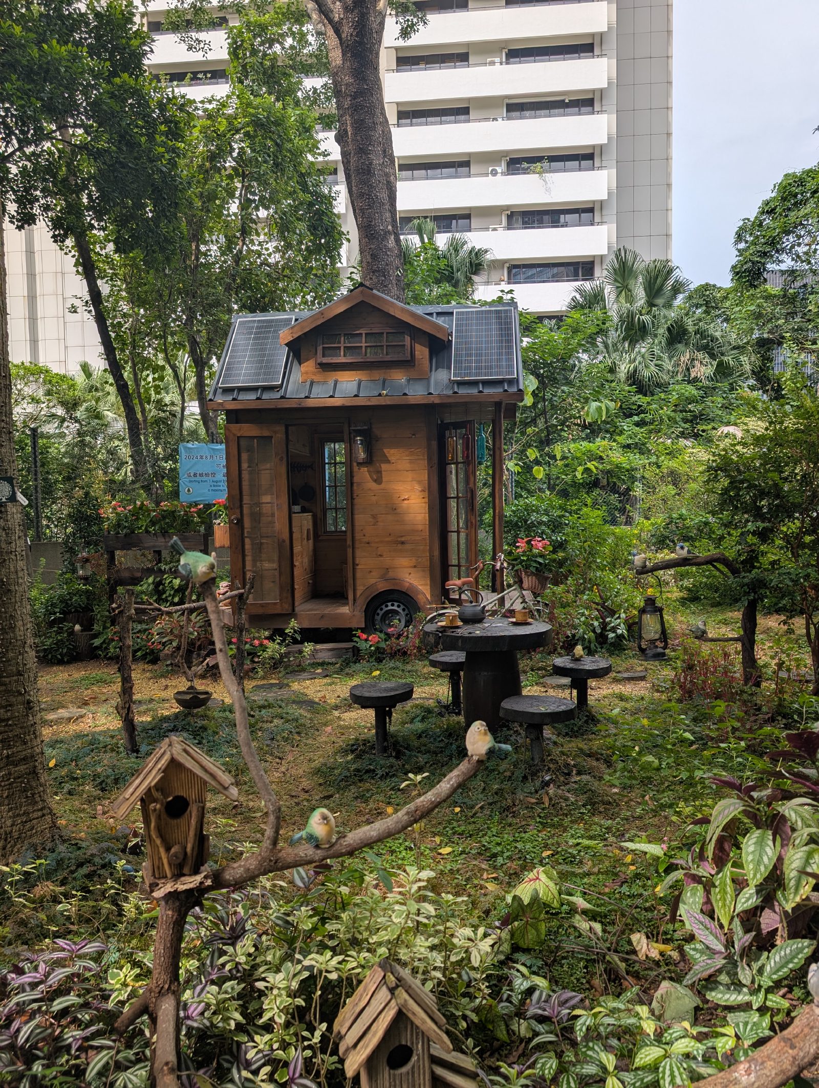 Dreamy little hut in the woods